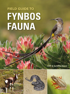 cover image of Field Guide to Fynbos Fauna